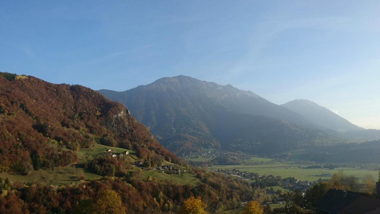 Le Nid Savoyard Apartment Faverges Bagian luar foto
