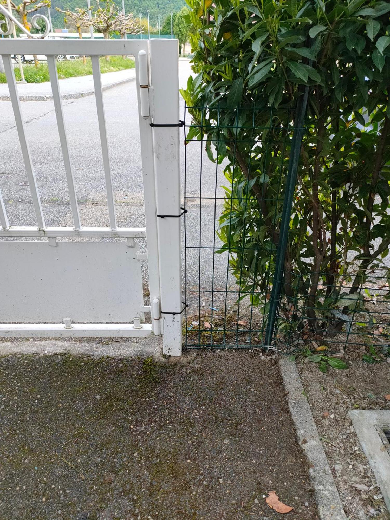 Le Nid Savoyard Apartment Faverges Bagian luar foto