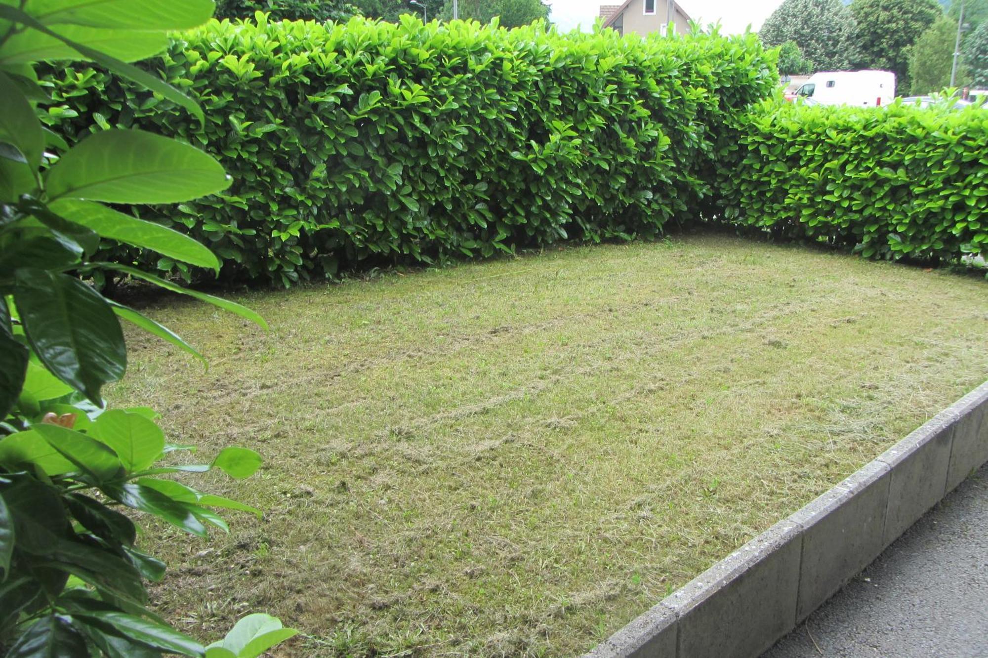 Le Nid Savoyard Apartment Faverges Bagian luar foto