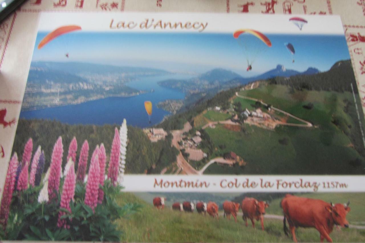 Le Nid Savoyard Apartment Faverges Bagian luar foto